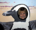 Shelby the penguin