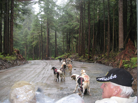 Another shot of the pups. There were 3 rows of in the sled and we got stuck in back.