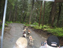 We followed a path like this through the woods. It was beautiful! The road is not paved.