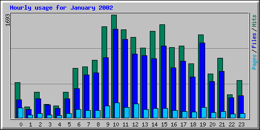 Hourly usage for January 2002