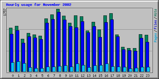 Hourly usage for November 2002