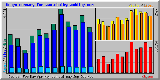 Usage summary for www.shelbyswedding.com